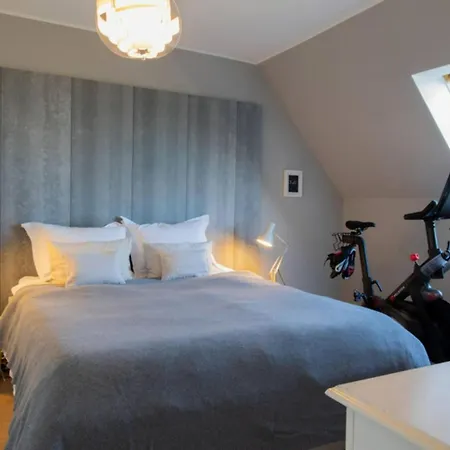 Penthouse Loft With Alps View Terrace Apartmán Mnichov